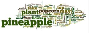Wordle of this blog