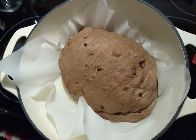 chocolate dough rise
